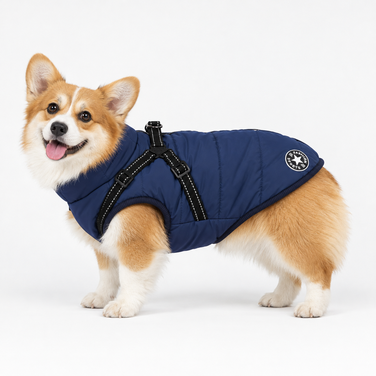 PupLume 3 in 1 Winter Jacket