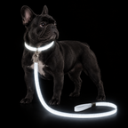 PupLume™ NightLine Leash