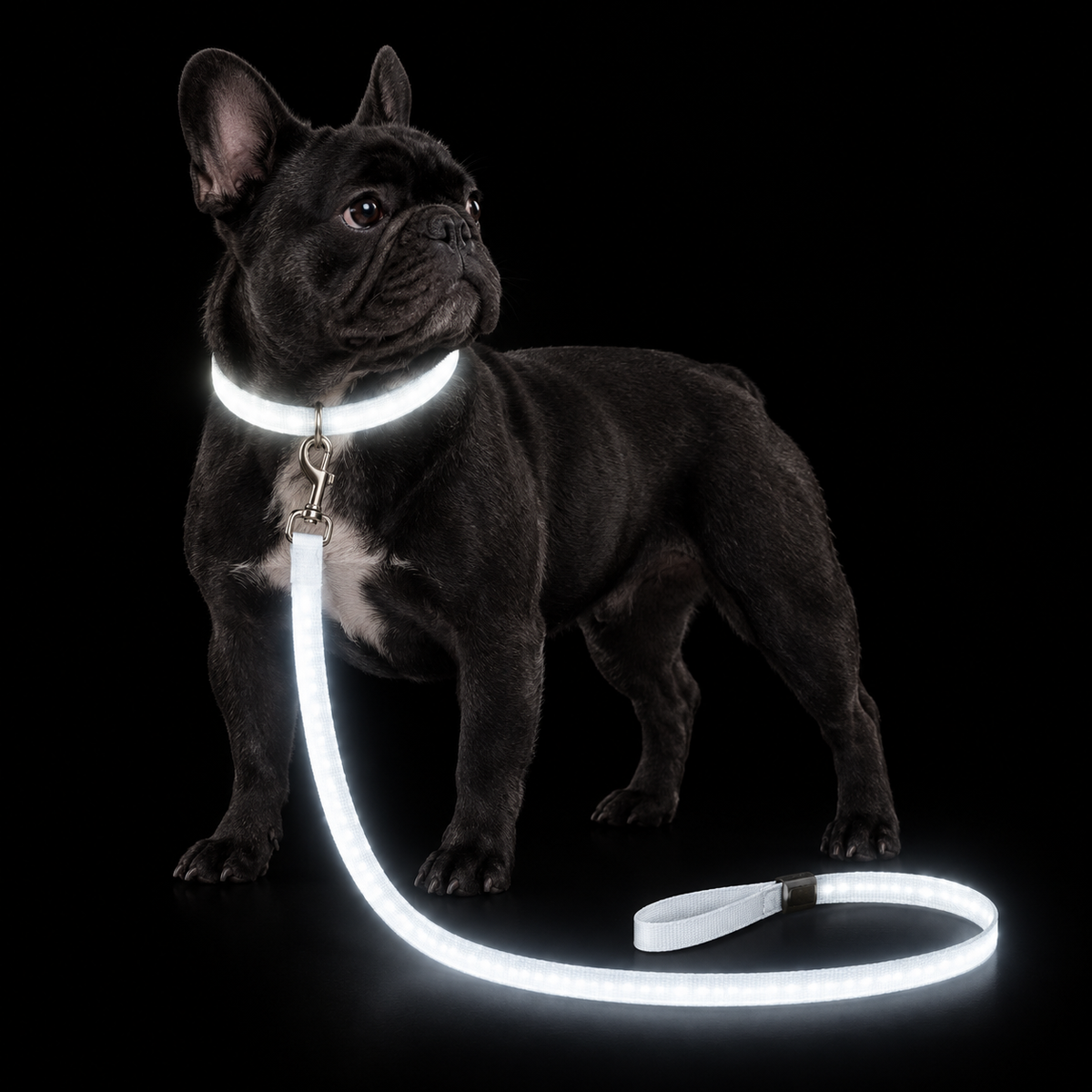 PupLume™ NightLine Leash