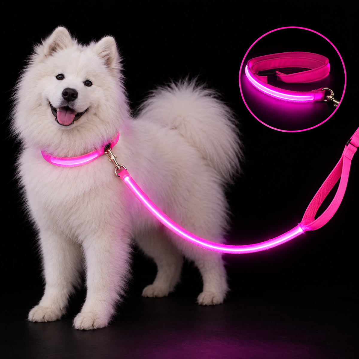 PupLume™ NightLine Leash