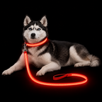PupLume™ NightLine Leash