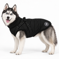 PupLume 3 in 1 Winter Jacket