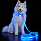 PupLume™ NightLine Leash