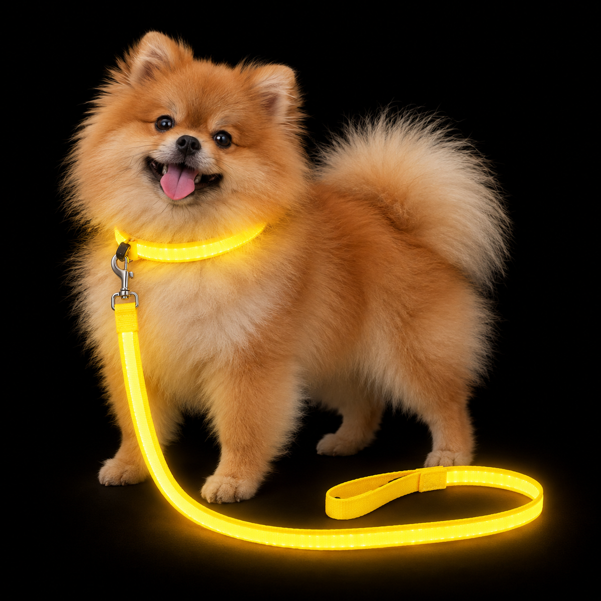 PupLume™ NightLine Leash