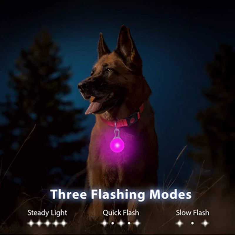 PupLume™ NightHalo Collar
