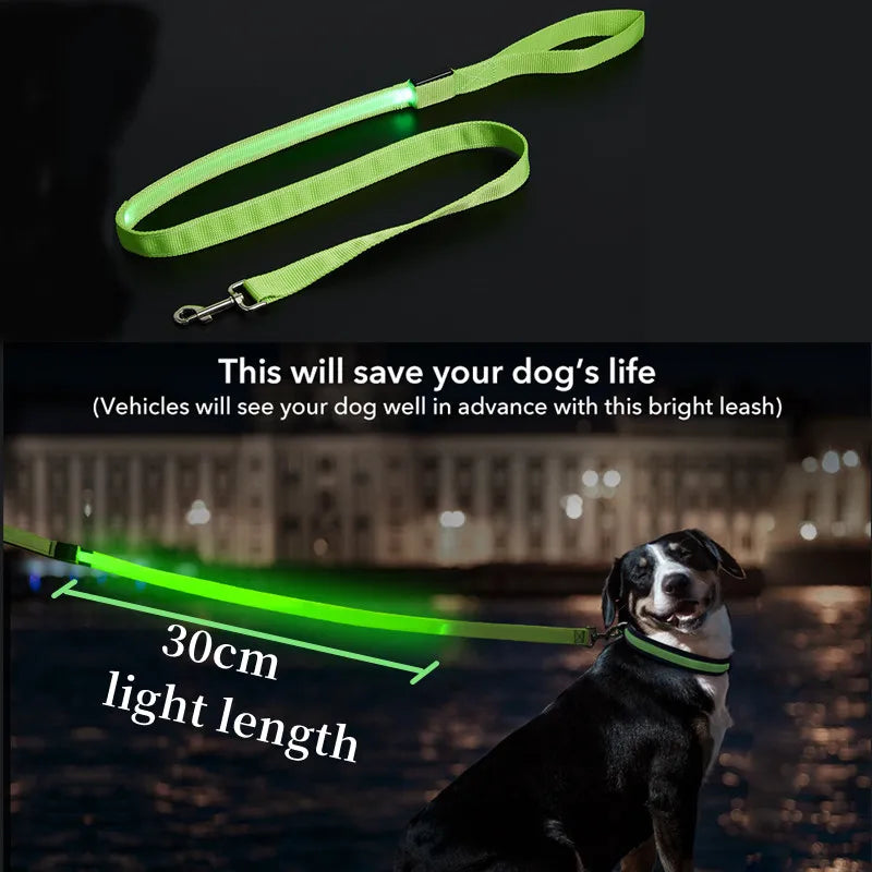 PupLume™ NightLine Leash