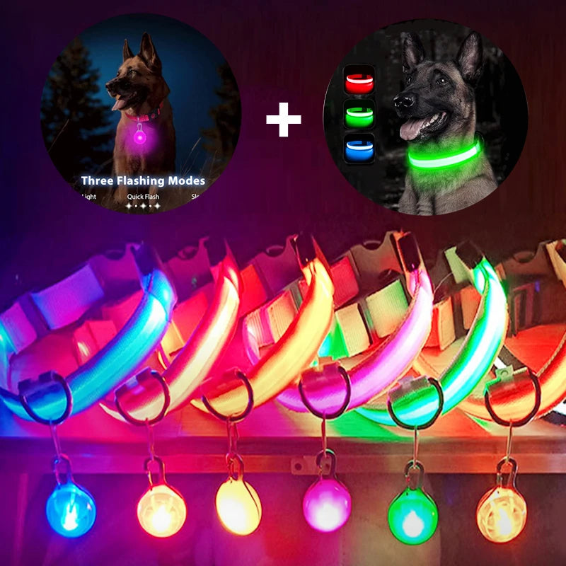 PupLume™ NightHalo Collar