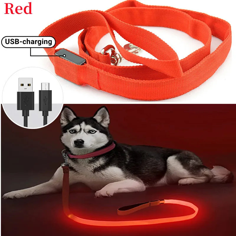 PupLume™ NightLine Leash