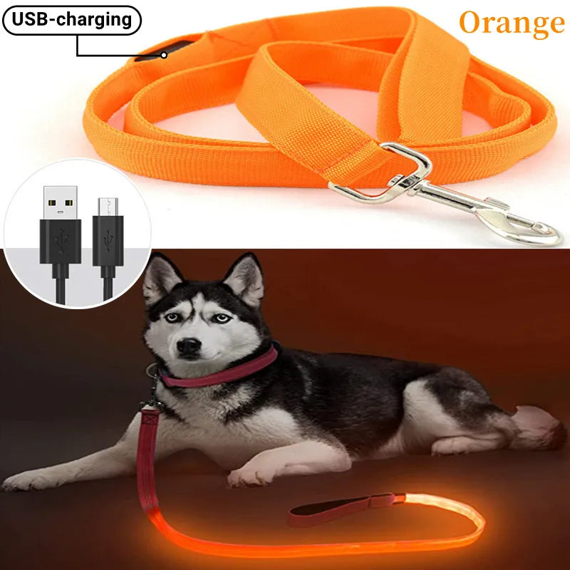 PupLume™ NightLine Leash