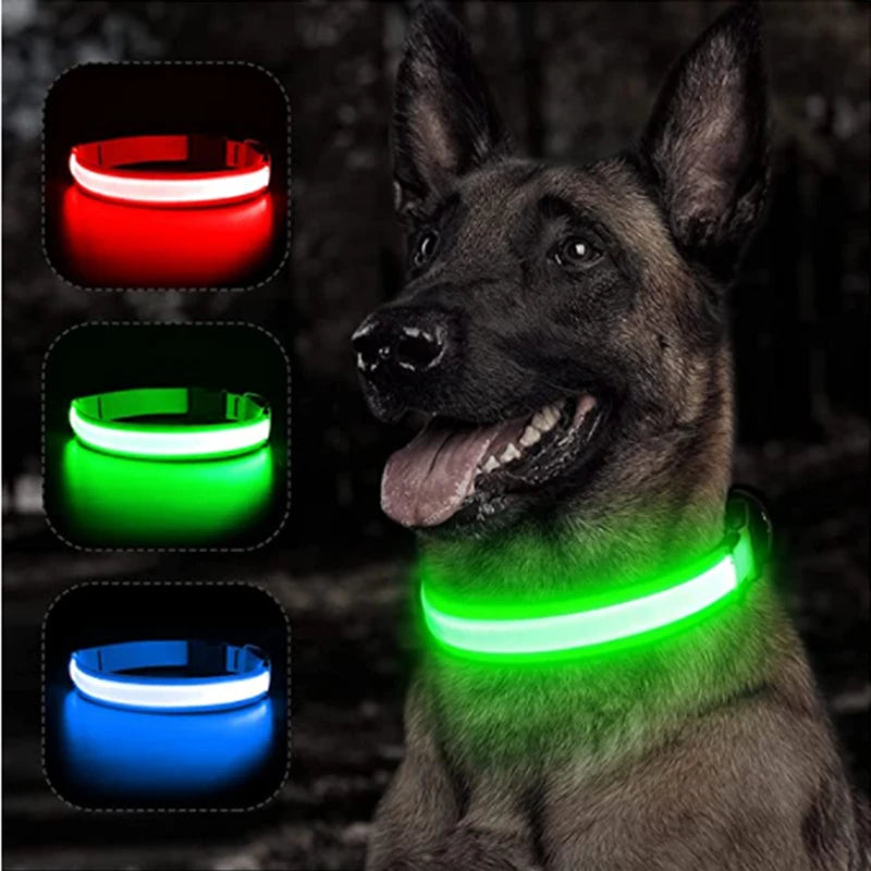 PupLume™ NightHalo Collar