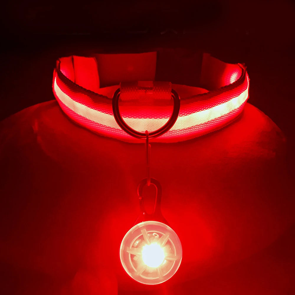 PupLume™ NightHalo Collar