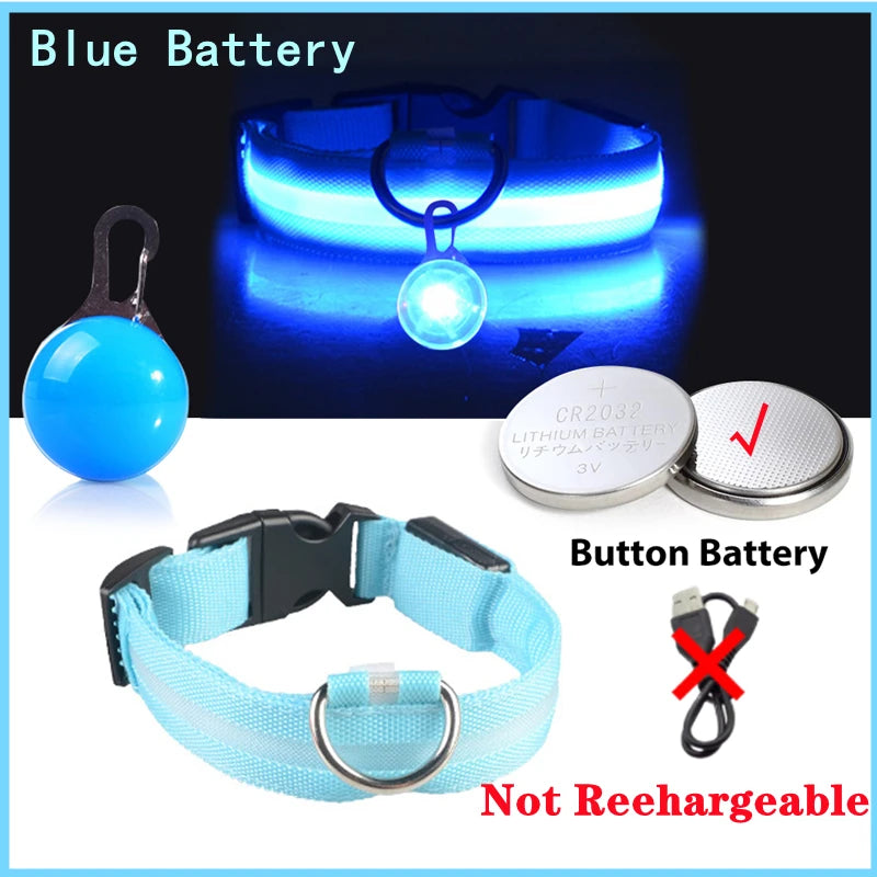 PupLume™ NightHalo Collar