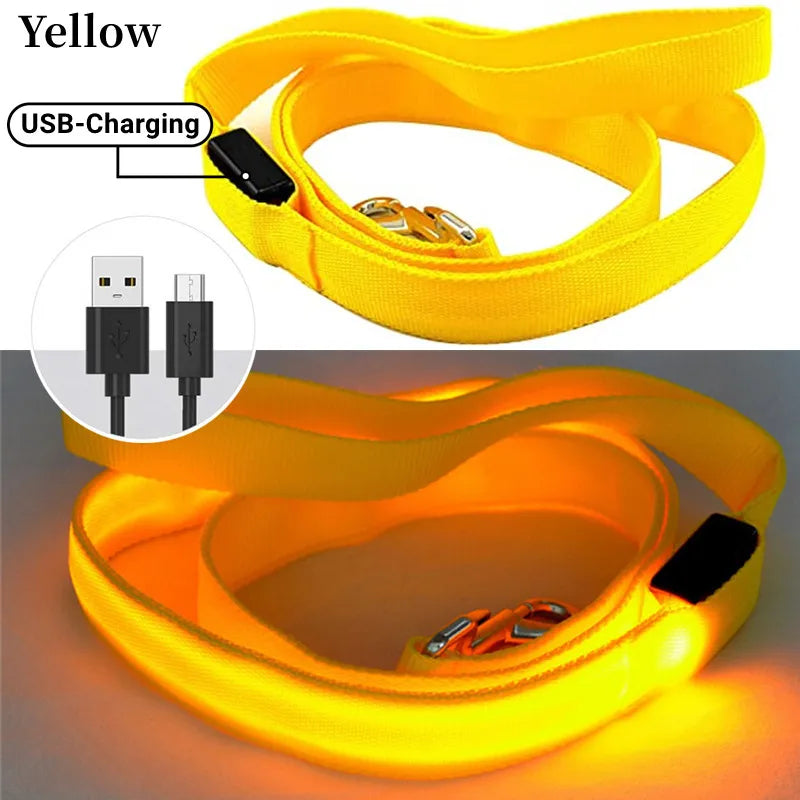 PupLume™ NightLine Leash