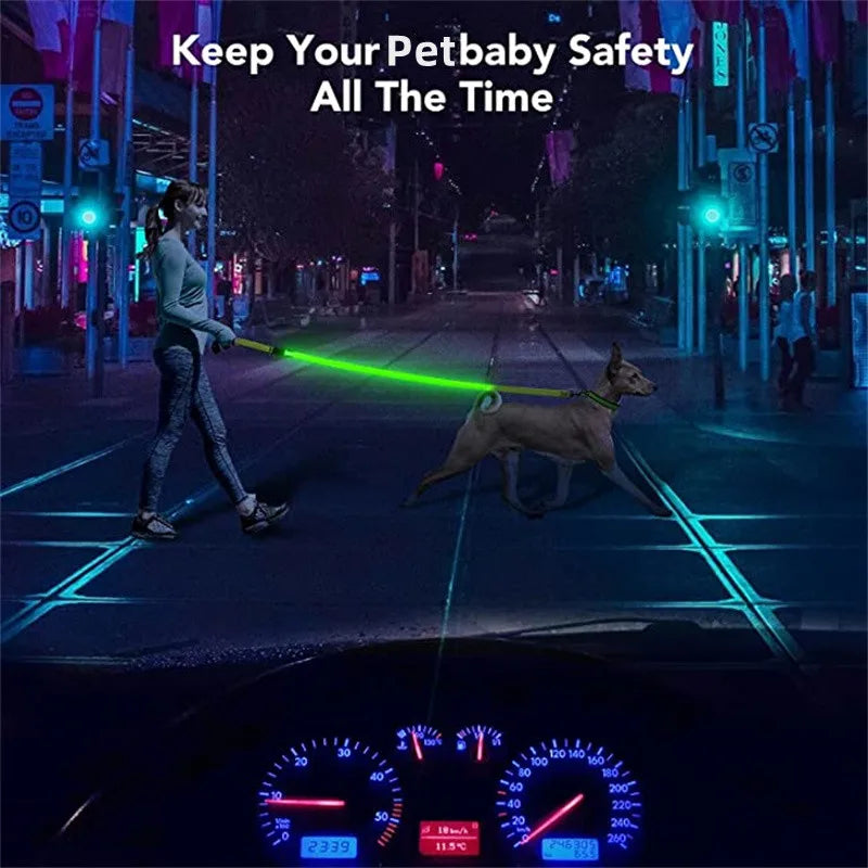 PupLume™ NightLine Leash