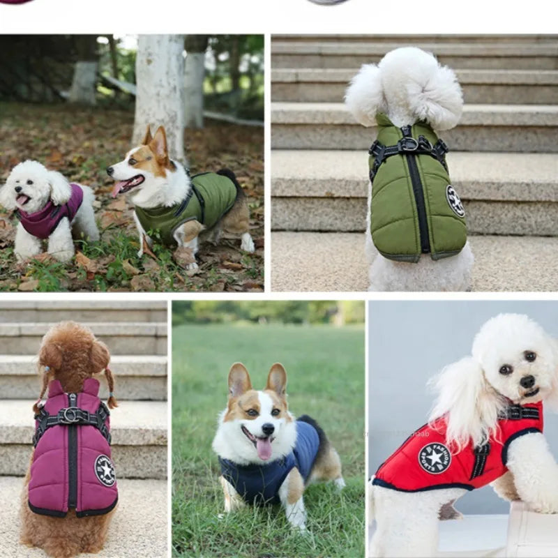 PupLume 3 in 1 Winter Jacket