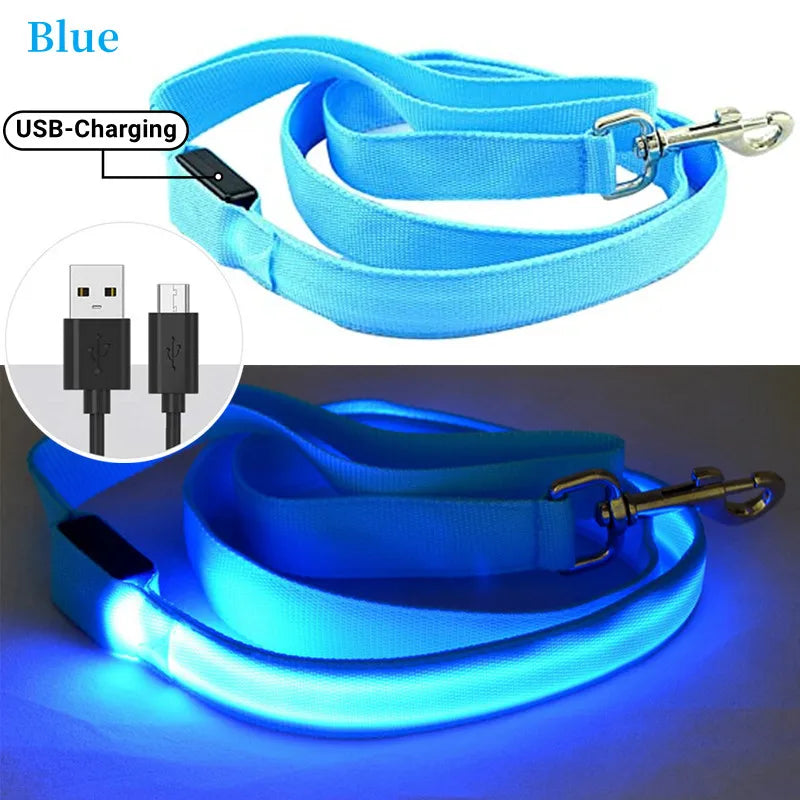 PupLume™ NightLine Leash