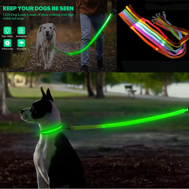 PupLume™ NightLine Leash