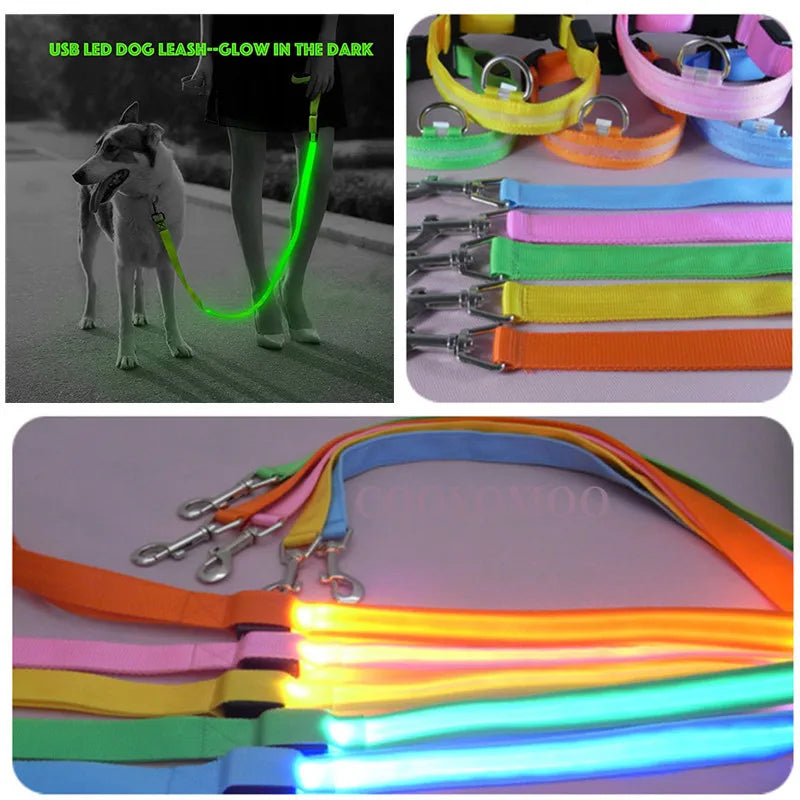 PupLume™ NightLine Leash
